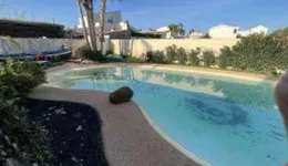 Aste giudiziarie immobiliari online - 3.0