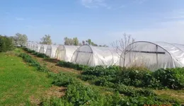 Aste giudiziarie immobiliari online - 11.0