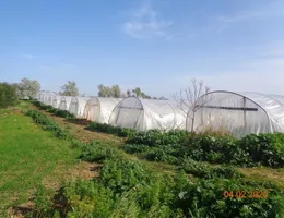 Aste giudiziarie immobiliari online - 12.0