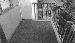 Aste giudiziarie immobiliari online - 12.0