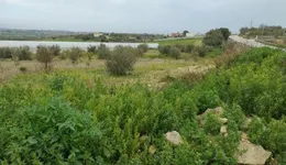 Aste giudiziarie immobiliari online - 2.0