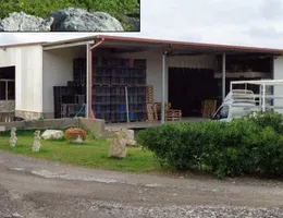 Aste giudiziarie immobiliari online - 10.0