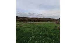 Aste giudiziarie immobiliari online - 3.0