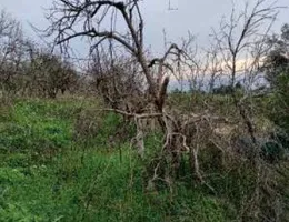 Aste giudiziarie immobiliari online - 7.0