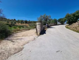 Aste giudiziarie immobiliari online - 8.0