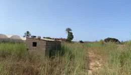 Aste giudiziarie immobiliari online - 4.0