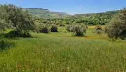 Aste giudiziarie immobiliari online - 7.0