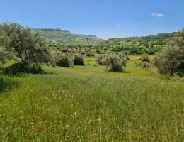 Aste giudiziarie immobiliari online - 7.0