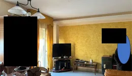 Aste giudiziarie immobiliari online - 9.0