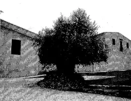 Aste giudiziarie immobiliari online - 2.0