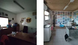 Aste giudiziarie immobiliari online - 10.0