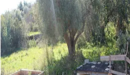 Aste giudiziarie immobiliari online - 4.0