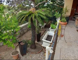 Aste giudiziarie immobiliari online - 7.0