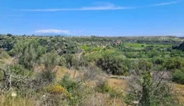 Aste giudiziarie immobiliari online - 11.0