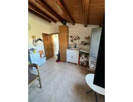 Aste giudiziarie immobiliari online - 11.0
