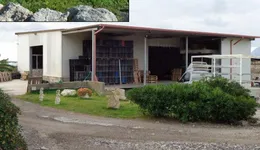Aste giudiziarie immobiliari online - 9.0