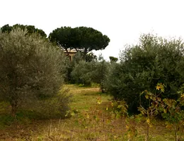 Aste giudiziarie immobiliari online - 9.0