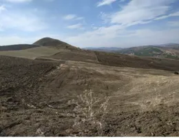 Aste giudiziarie immobiliari online - 6.0