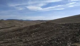 Aste giudiziarie immobiliari online - 4.0