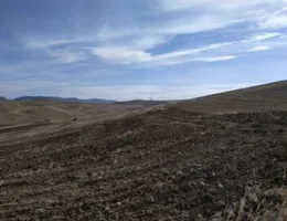 Aste giudiziarie immobiliari online - 7.0