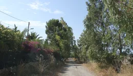 Aste giudiziarie immobiliari online - 12.0