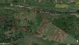 Aste giudiziarie immobiliari online - 11.0