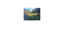 Aste giudiziarie immobiliari online - 7.0