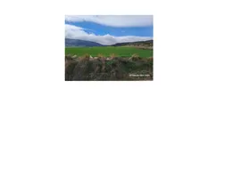 Aste giudiziarie immobiliari online - 4.0