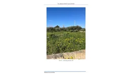Aste giudiziarie immobiliari online - 11.0