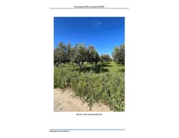 Aste giudiziarie immobiliari online - 12.0