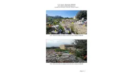 Aste giudiziarie immobiliari online - 9.0