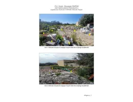 Aste giudiziarie immobiliari online - 9.0