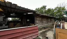 Aste giudiziarie immobiliari online - 11.0