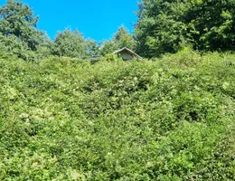 Aste giudiziarie immobiliari online - 8.0