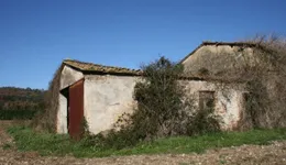 Aste giudiziarie immobiliari online - 2.0