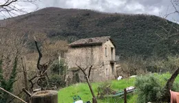 Aste giudiziarie immobiliari online - 12.0