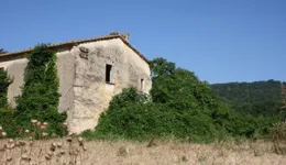 Aste giudiziarie immobiliari online - 6.0