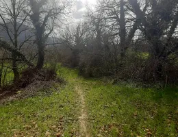 Aste giudiziarie immobiliari online - 7.0