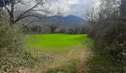 Aste giudiziarie immobiliari online - 3.0