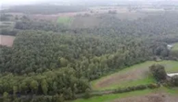 Aste giudiziarie immobiliari online - 5.0