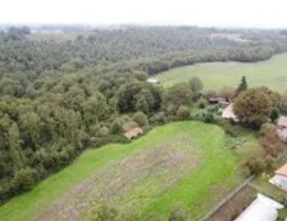Aste giudiziarie immobiliari online - 7.0