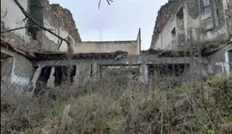 Aste giudiziarie immobiliari online - 1.0