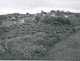 Aste giudiziarie immobiliari online - 2.0