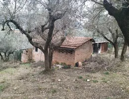 Aste giudiziarie immobiliari online - 8.0