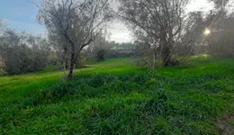 Aste giudiziarie immobiliari online - 6.0