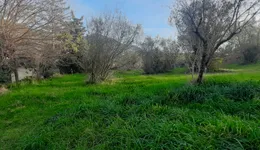 Aste giudiziarie immobiliari online - 11.0