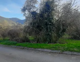 Aste giudiziarie immobiliari online - 7.0