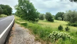 Aste giudiziarie immobiliari online - 6.0