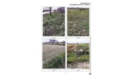 Aste giudiziarie immobiliari online - 5.0
