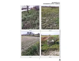 Aste giudiziarie immobiliari online - 4.0